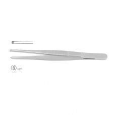 Dissecting Forceps 2 x 3 Teeth Stainless Steel, 12 cm - 4 3/4"
